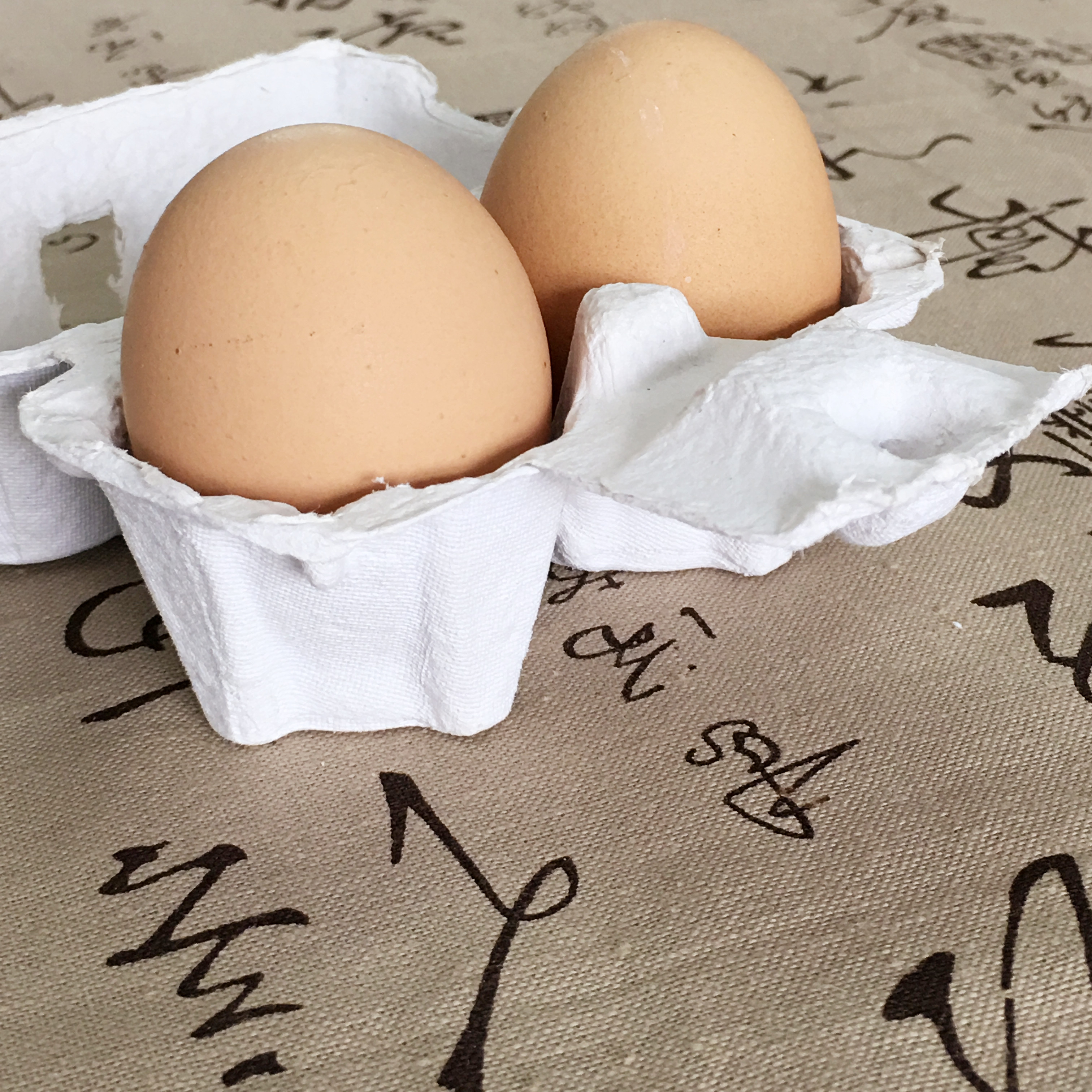 上饒紙漿模塑.紙漿托