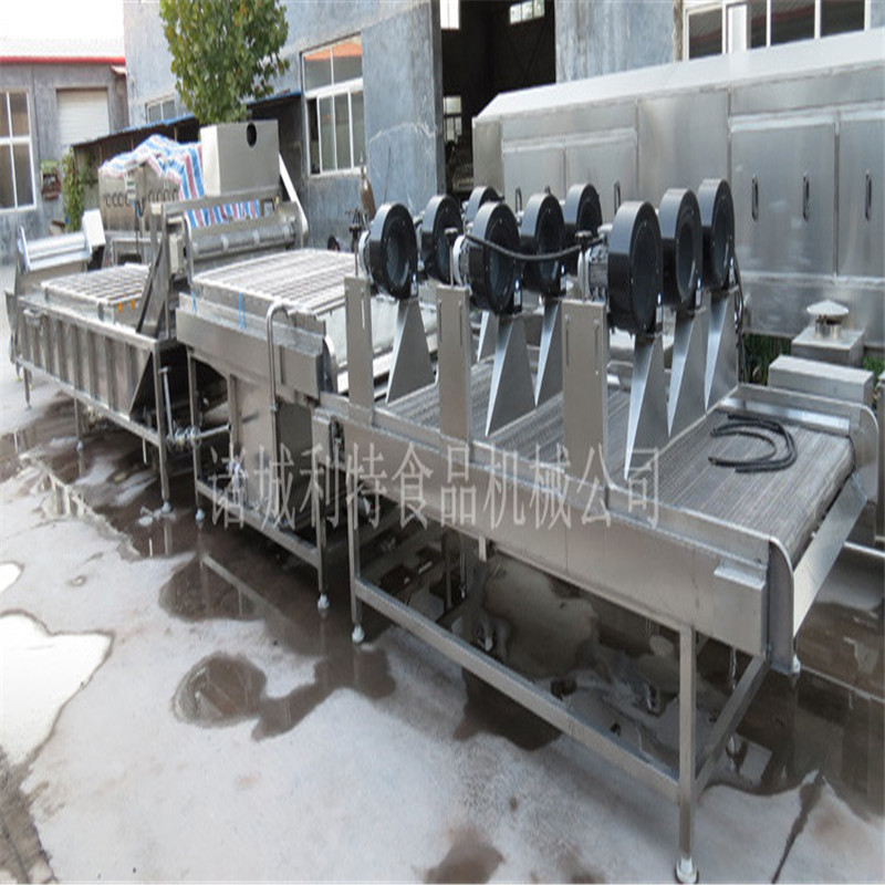 利特大棗加工設(shè)備  河北大棗氣泡清洗機(jī)  多功能清洗機(jī)廠家直銷