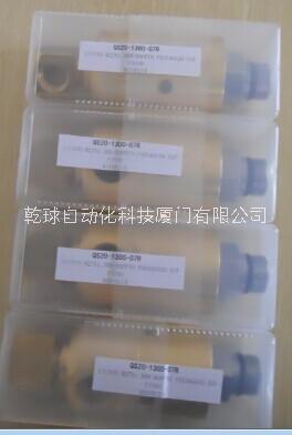 意大利S32-1300-03F ROTOFLUX接頭