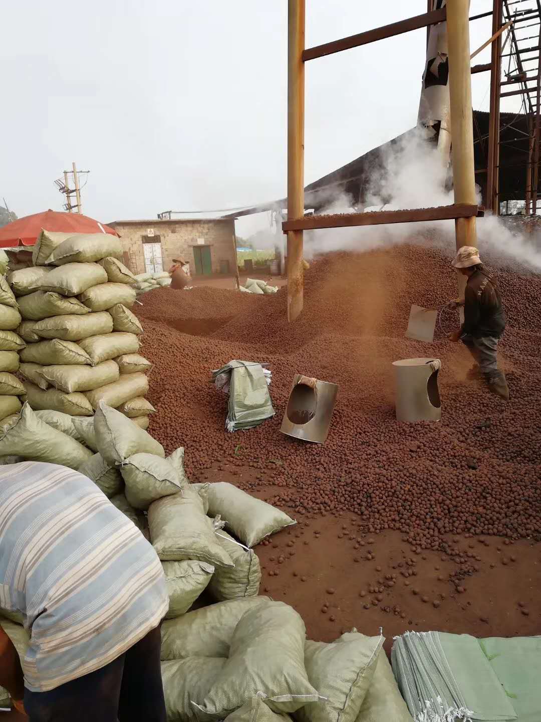 廈門陶粒， 建筑陶粒，回填陶粒，輕質(zhì)陶粒啟航陶粒廠家直銷