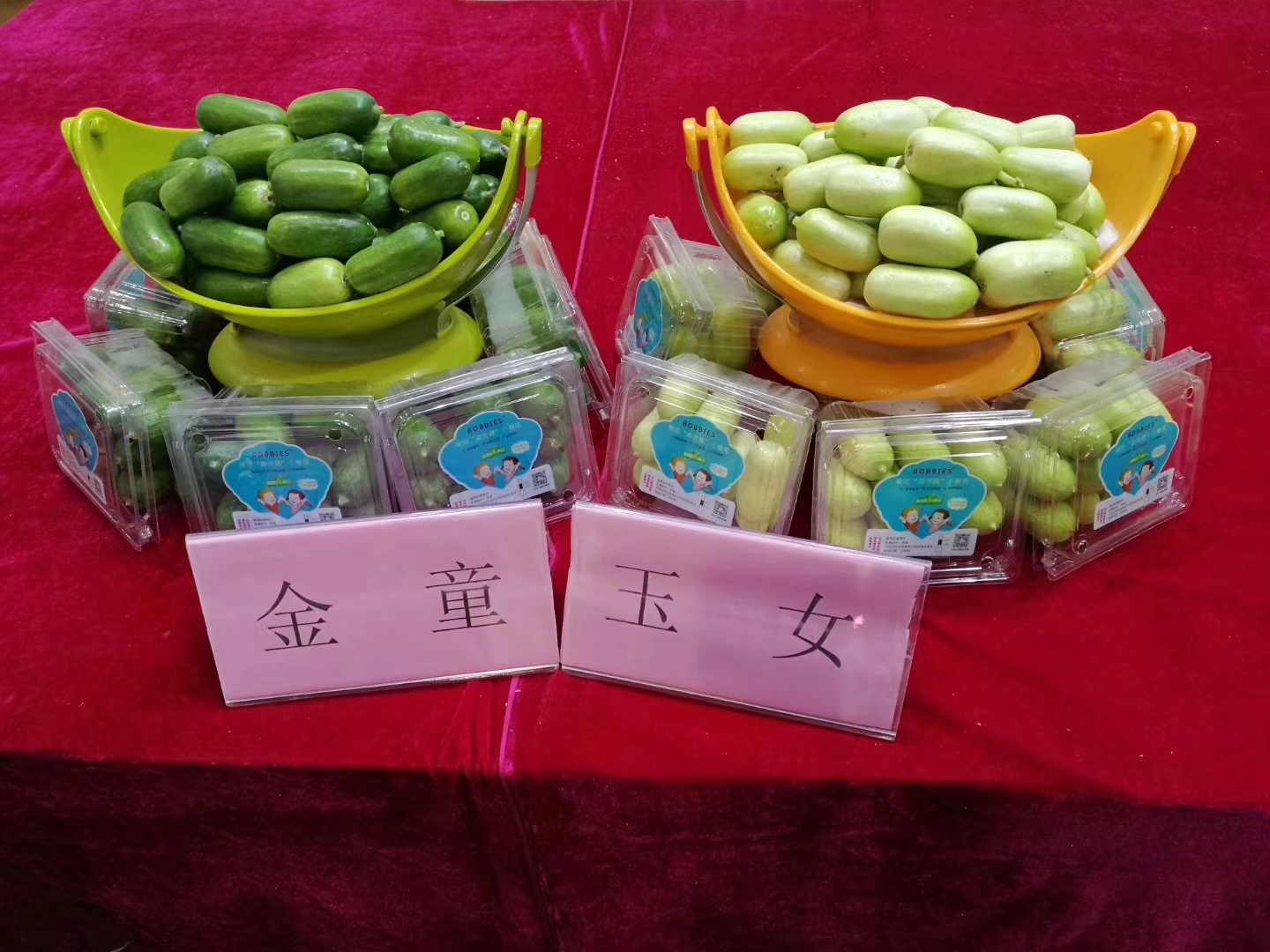 金童玉女水果黃瓜種子種苗 拇指黃黃瓜種子  口感清脆，清新宜人