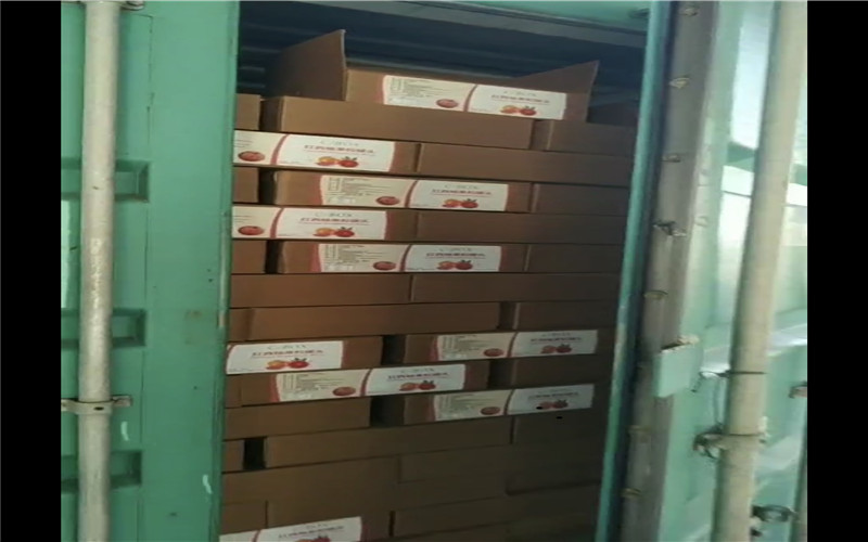 紅西軸罐頭進(jìn)口到海安保稅區(qū)