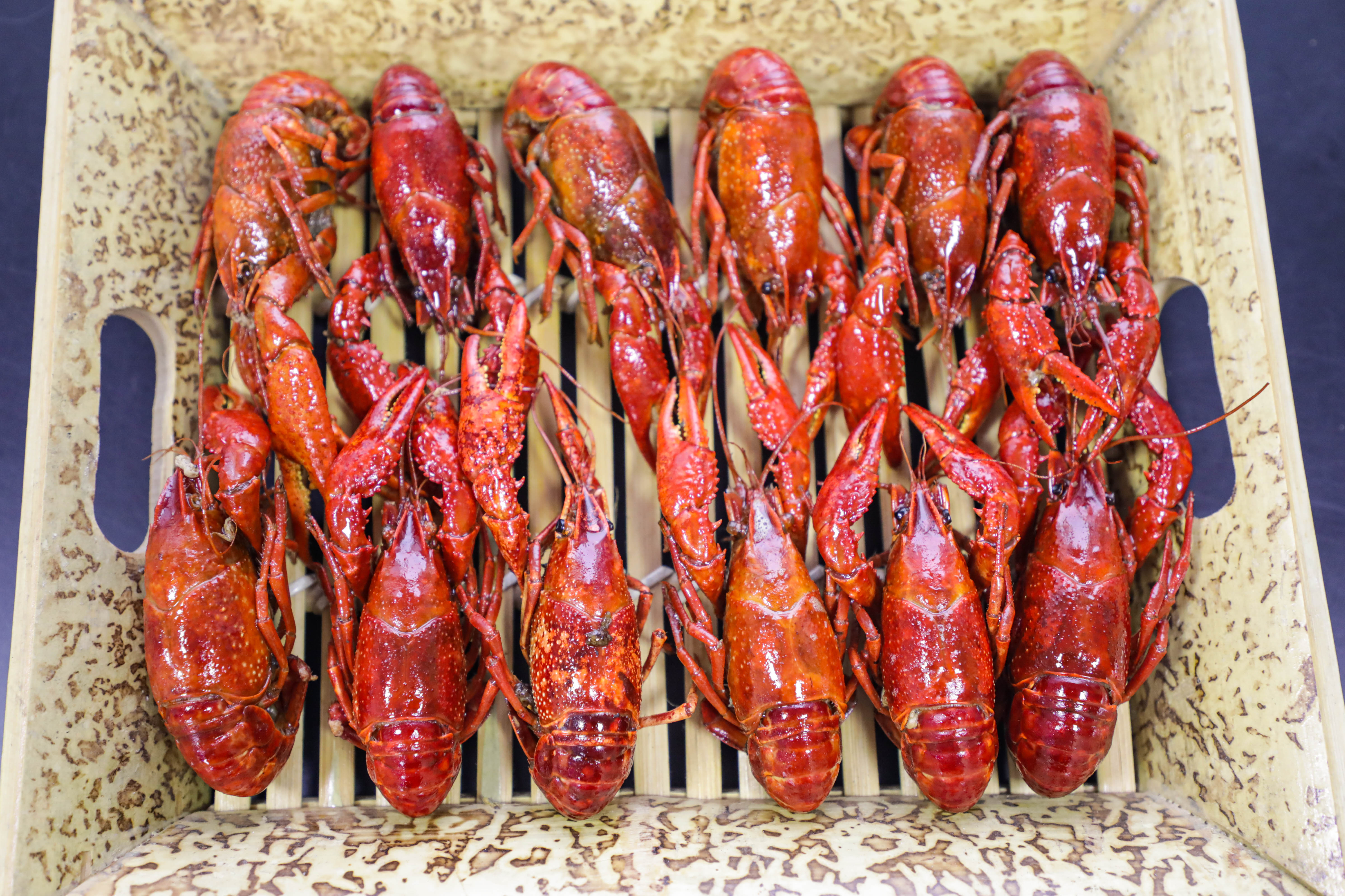 油燜大蝦湖南麻辣龍蝦油燜蝦培訓(xùn)基地一對一輔導(dǎo)