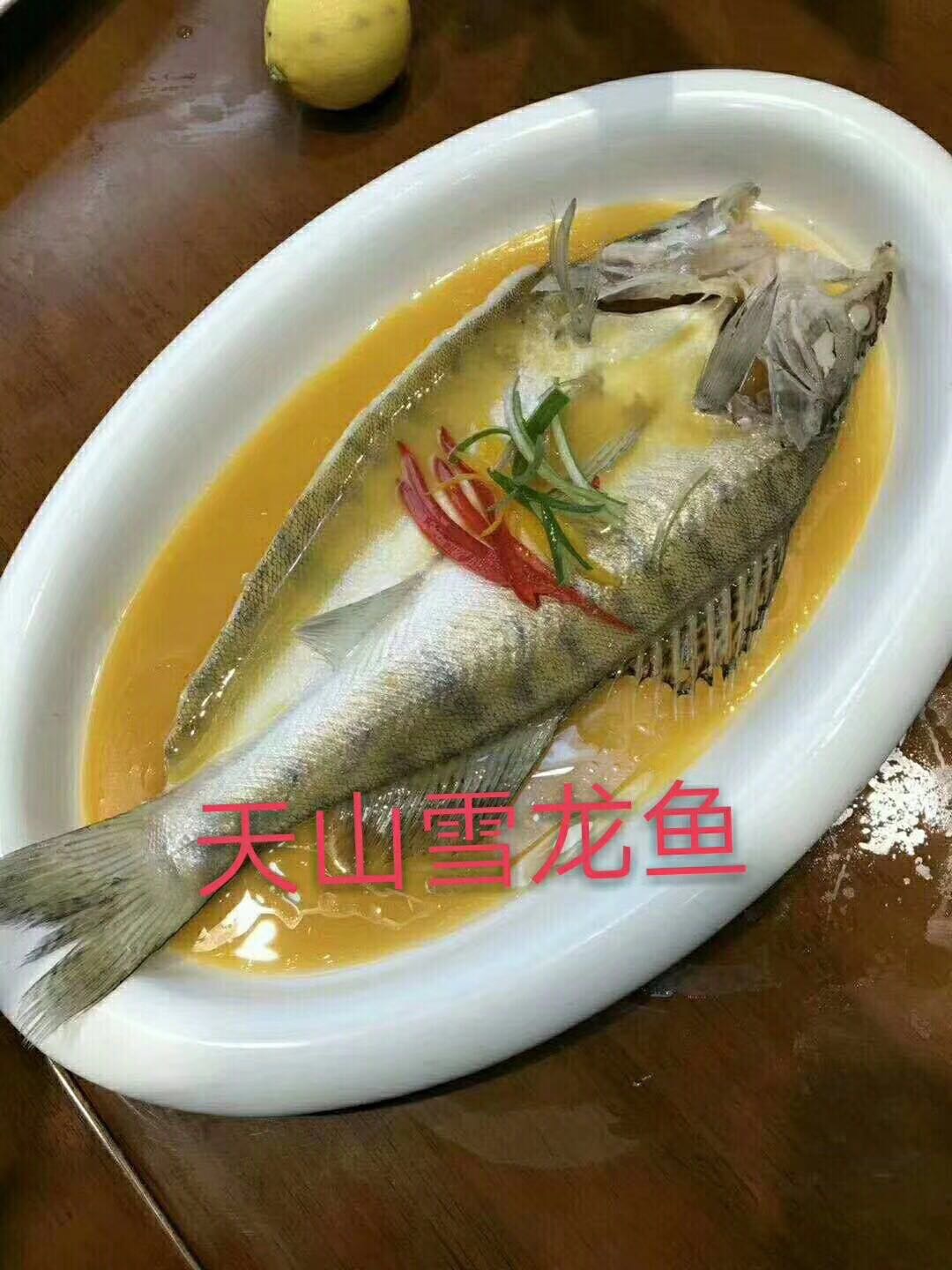 臭鱖魚批發(fā) 哪里有 哪家便宜