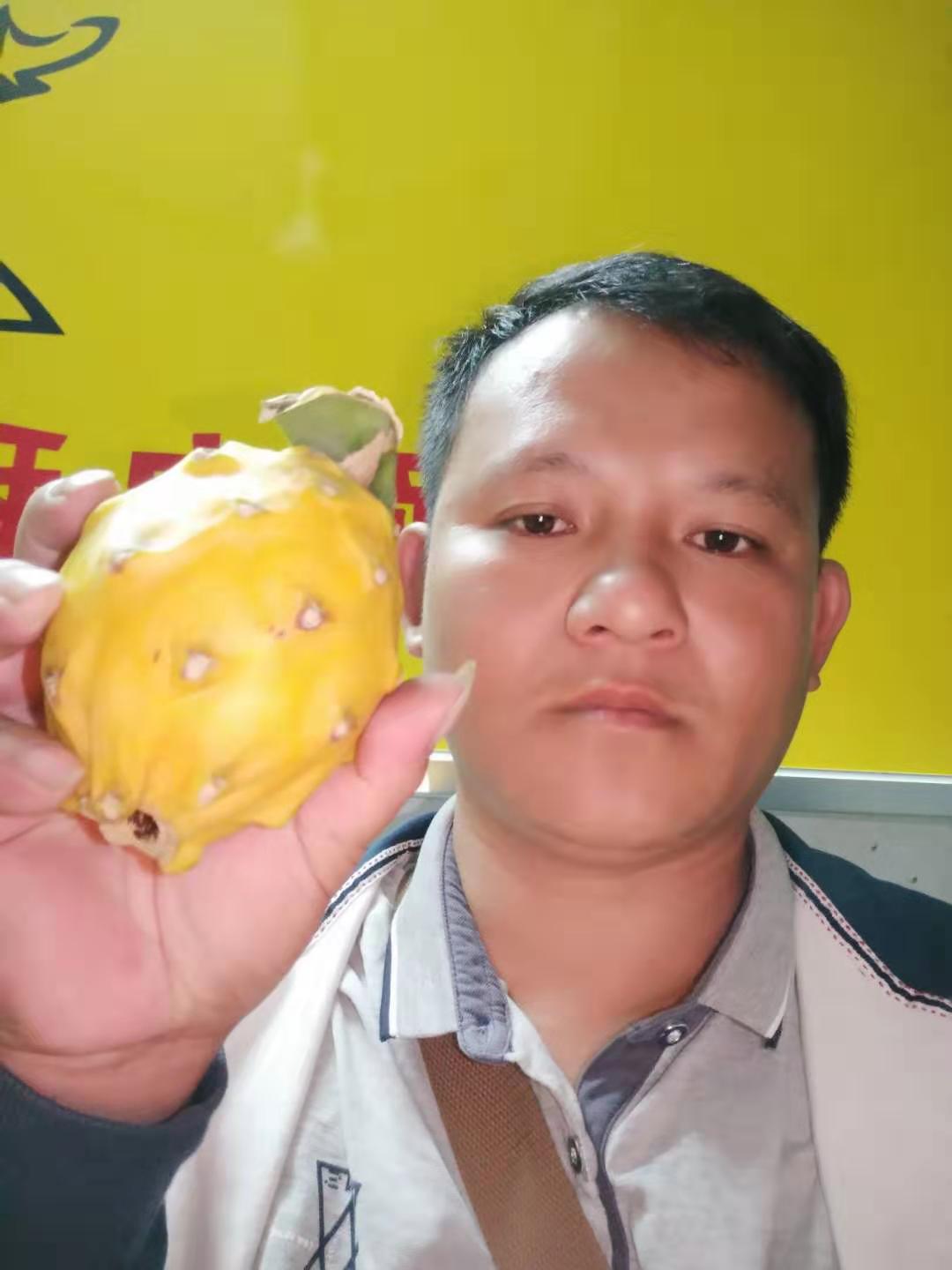 廣西玉林燕窩火龍果苗基地_廣西玉林燕窩火龍果苗批發(fā)_廣西燕窩火龍果苗價(jià)格-種植批發(fā)【廣西容縣天香果苗場(chǎng)】