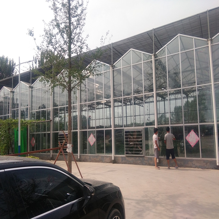 供應(yīng)拉幕齒輪齒條  溫室大棚降溫設(shè)備  溫室大棚開窗齒條 大棚設(shè)施