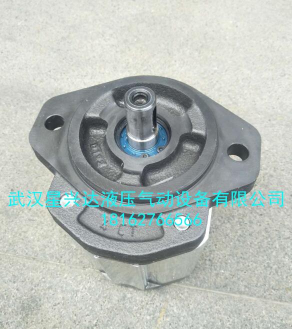 意大利馬祖奇齒輪泵 GHP1-D-6