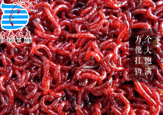 鮮活公蟲 鮮活公蟲報(bào)價(jià) 鮮活公蟲批發(fā) 鮮活公蟲供應(yīng)商 鮮活公蟲生產(chǎn)廠家 鮮活公蟲哪家好