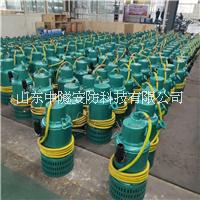 安泰BQS200-30-37/N內裝式礦用隔爆排沙泵1140V660V排污潛水電泵