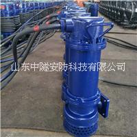 WQB2.2kw潛水泵四川阿壩州中鐵施工三項立式廠用排污泵BT4高防爆