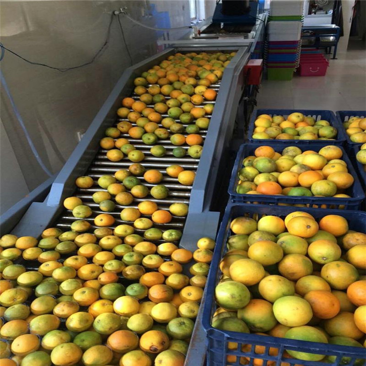 上海*求購(gòu)果蔬生產(chǎn)線