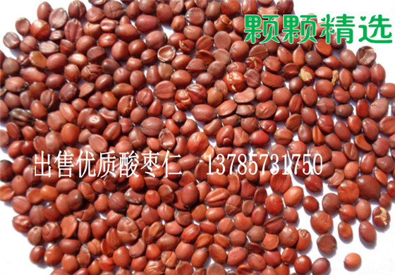 出售酸棗種子，東北哪里出售紅棗種子，*酸棗種子哪里出產(chǎn)