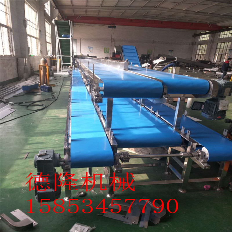寧津德隆訂制工業(yè)皮帶輸送機(jī)流水線 醫(yī)藥品用傳送帶生產(chǎn)線