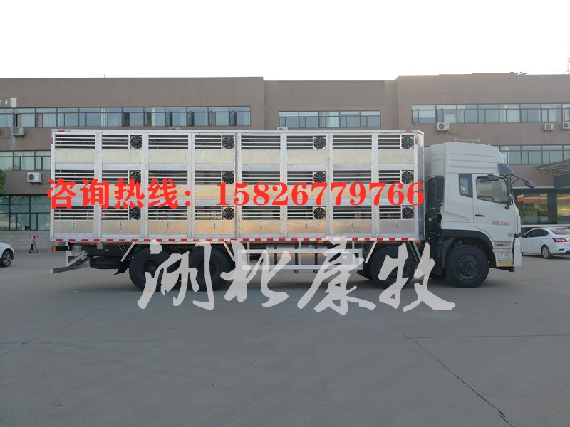 全鋁合金東風(fēng)12米豬仔豬苗轉(zhuǎn)運車?yán)i車