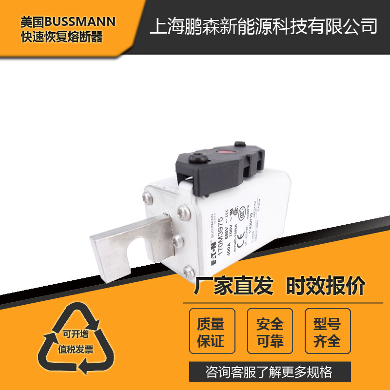 上海廠家供應巴斯曼170M系列熔170M5812 170M5813/上海廠家批發(fā) 巴斯曼熔斷器件 現(xiàn)貨直銷