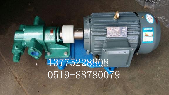 江蘇防爆齒輪泵廠家、價格、批發(fā)【常州市武眾導(dǎo)熱油泵有限公司】