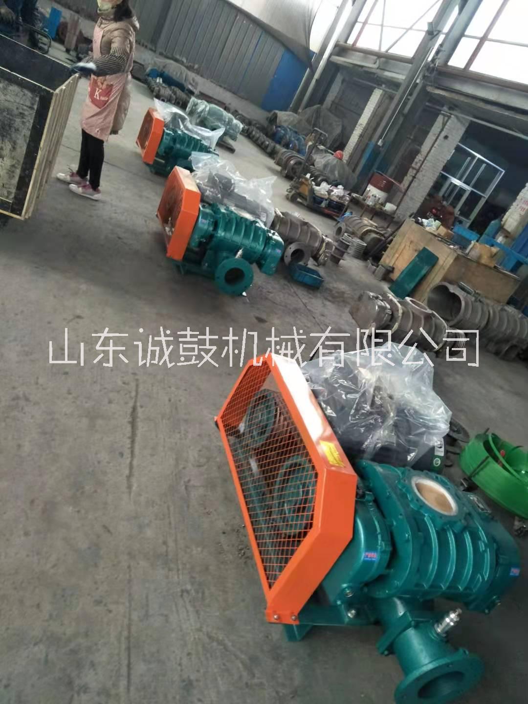 供應(yīng)湖北污水處理羅茨鼓風(fēng)機(jī)價(jià)格  污水處理羅茨鼓風(fēng)機(jī)性能 污水處理羅茨鼓風(fēng)機(jī)哪個(gè)品牌好