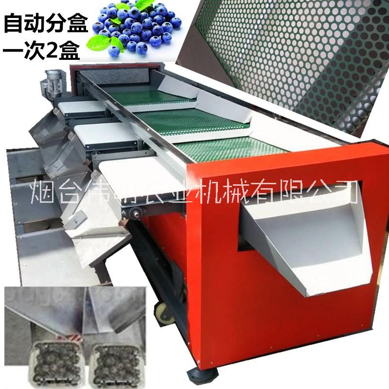 供應(yīng)煙臺(tái)偉明藍(lán)莓選果機(jī)可直接裝盒