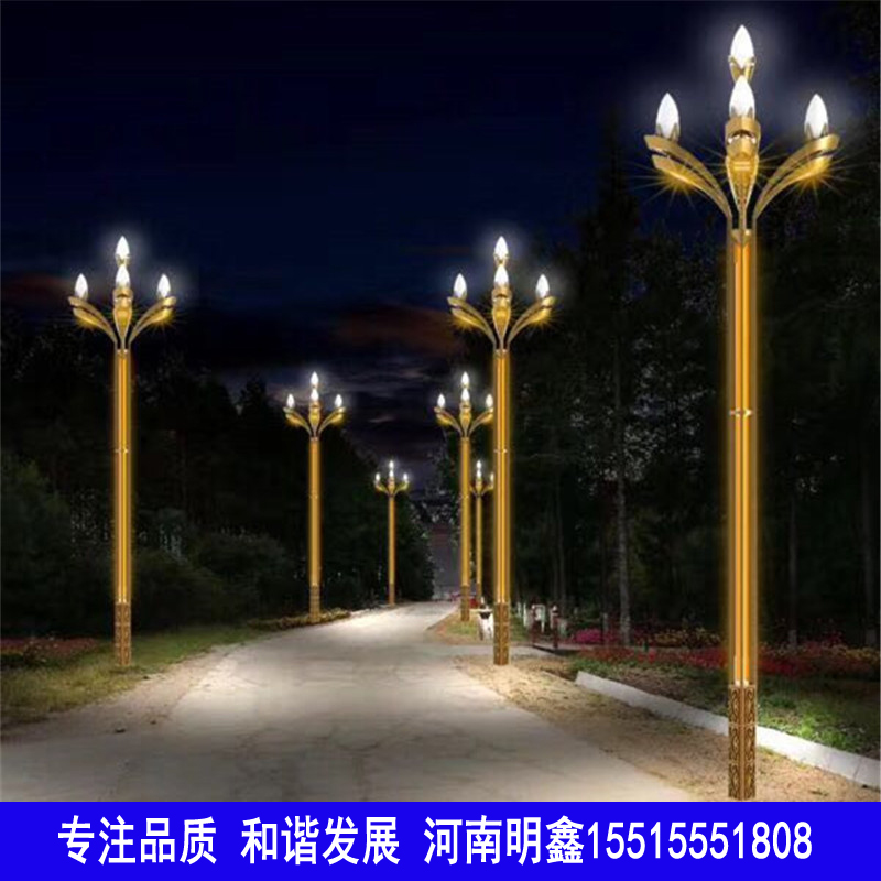山東省濱州市、德州市、聊城市、臨沂市、菏澤市 濟(jì)南市LED中華燈玉蘭燈廠家
