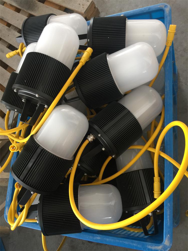 海洋王 FW6320 LED防爆行燈 30W/50W