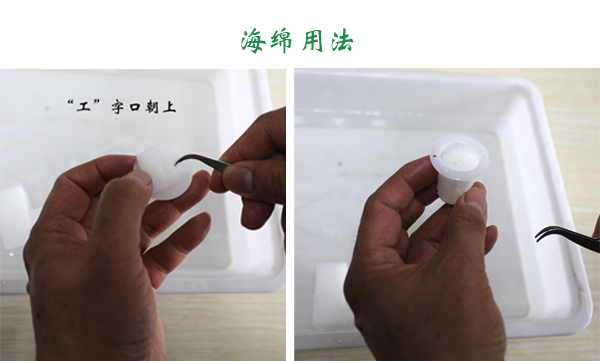 幸運買家無土栽培設(shè)備家庭懶人陽臺育苗蔬菜種菜機24孔水培種植箱 陽臺種菜設(shè)備 陽臺種菜設(shè)備 種菜箱批發(fā)