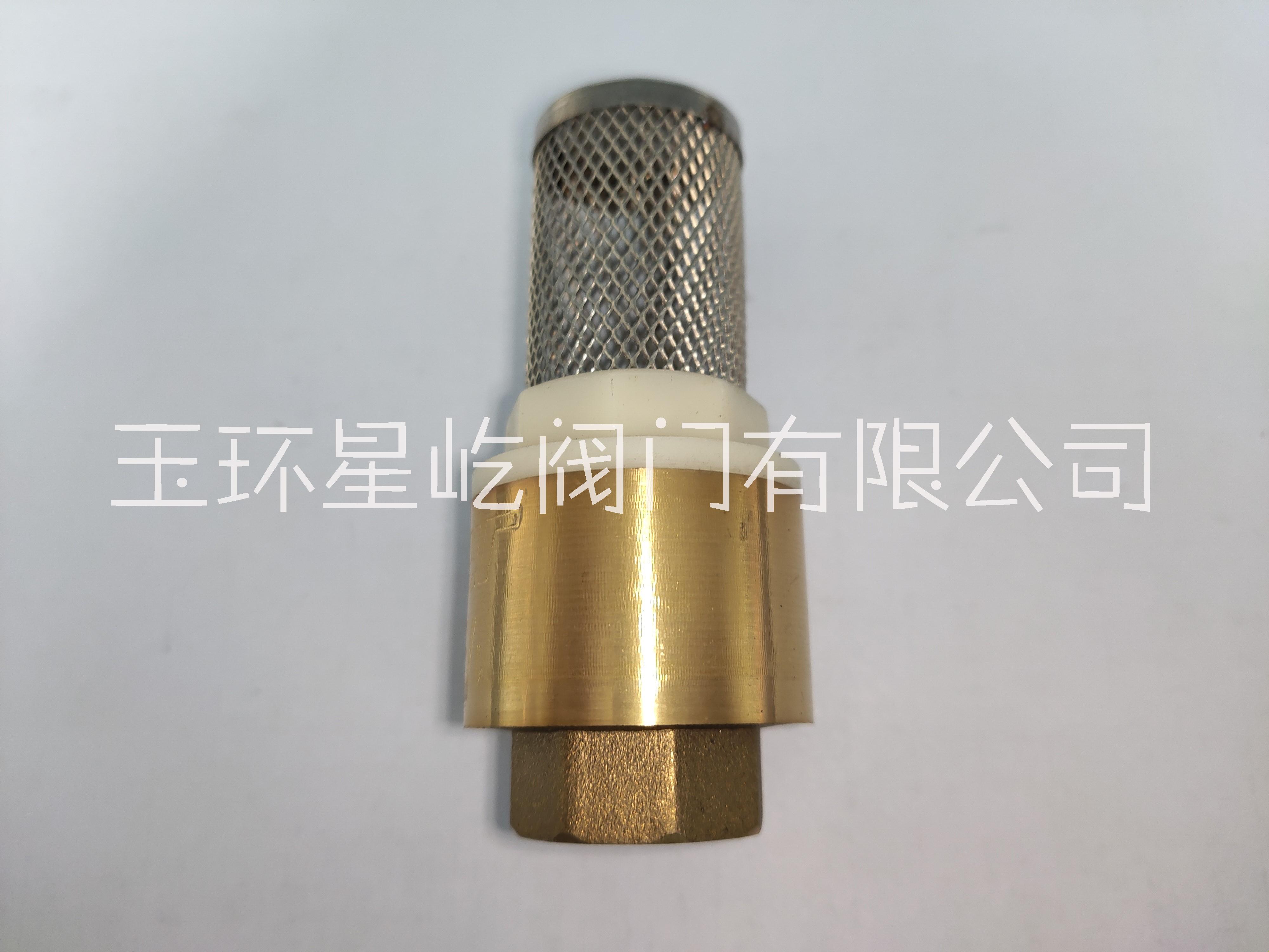 廠家直銷不銹鋼旋啟式彈止回閥單向xy-502 彈簧止回閥 彈簧止回閥xy-502 彈簧止回閥黃銅塑料芯子帶網過濾