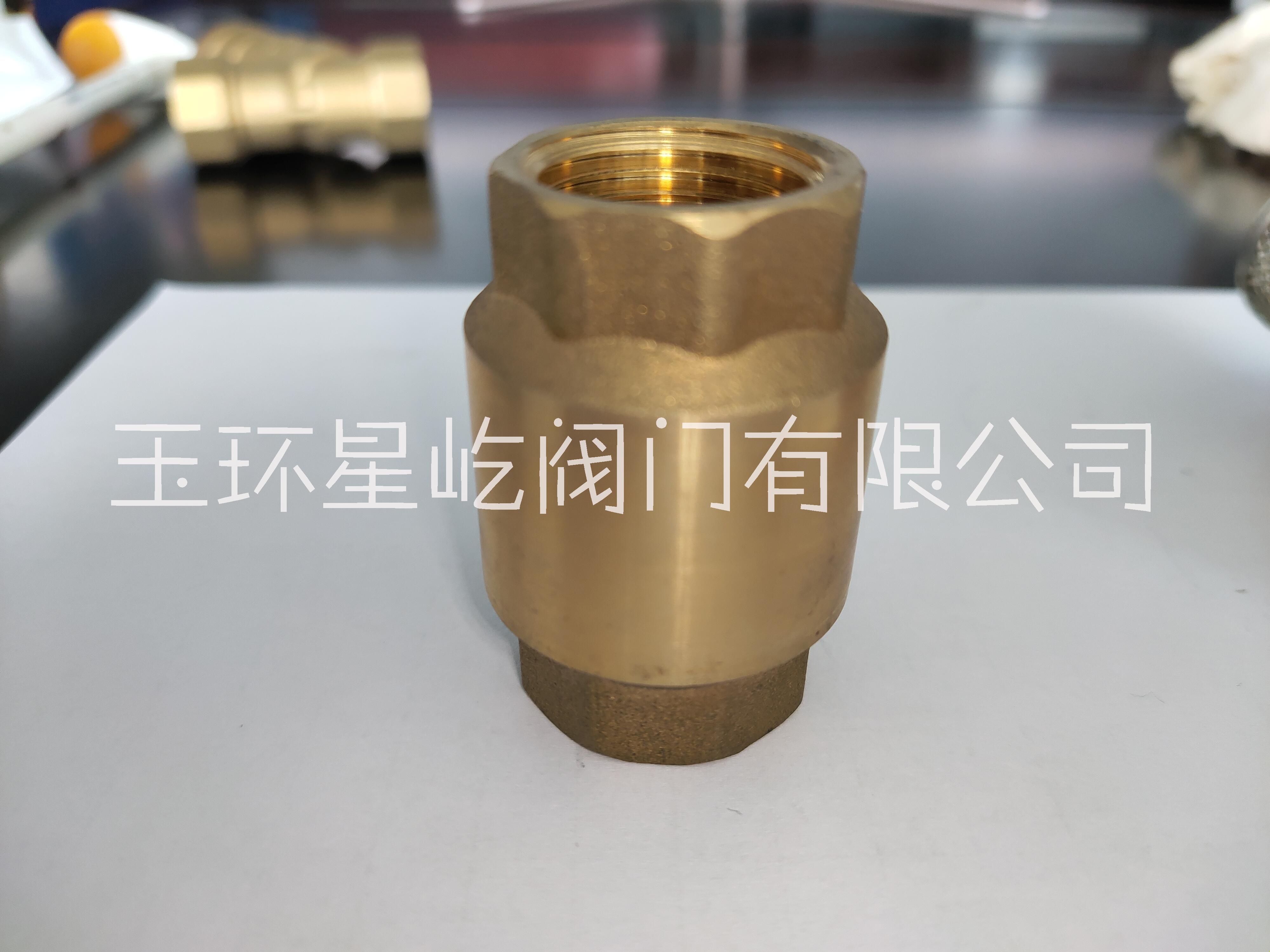 彈簧止回閥批發(fā)-供應商-廠家-價格