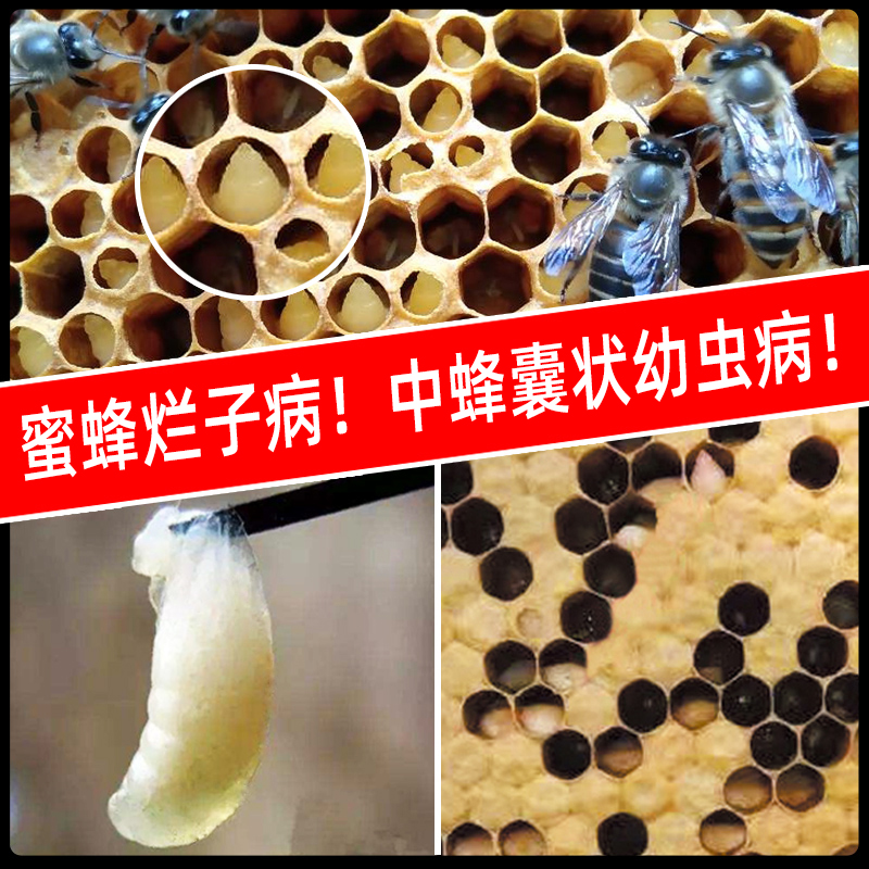 丹東中囊抗體500ml*產(chǎn)品 國(guó)家* 適用于中蜂爛子病 中囊病 中蜂囊狀幼蟲(chóng)病 蜜蜂叼蛹病