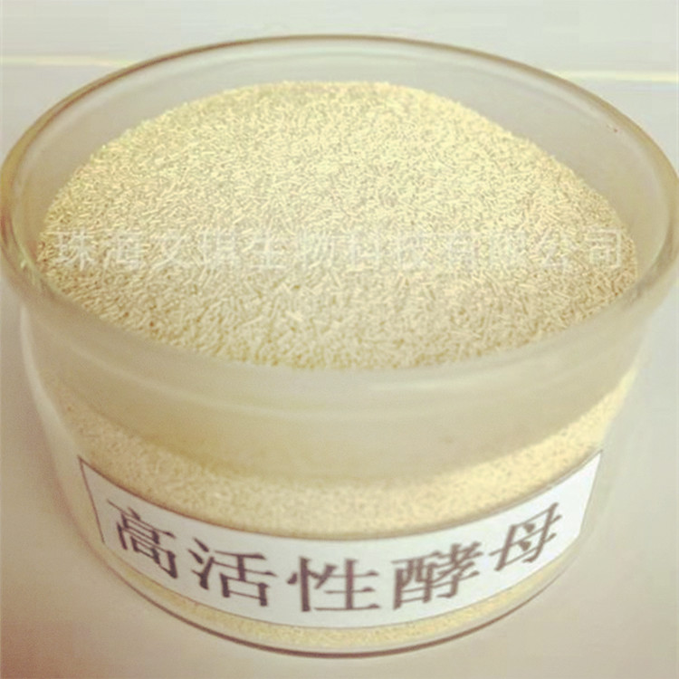 活性干酵母 發(fā)酵劑 反芻動物 改善糞便僵硬題 消化吸收 益生菌廠家