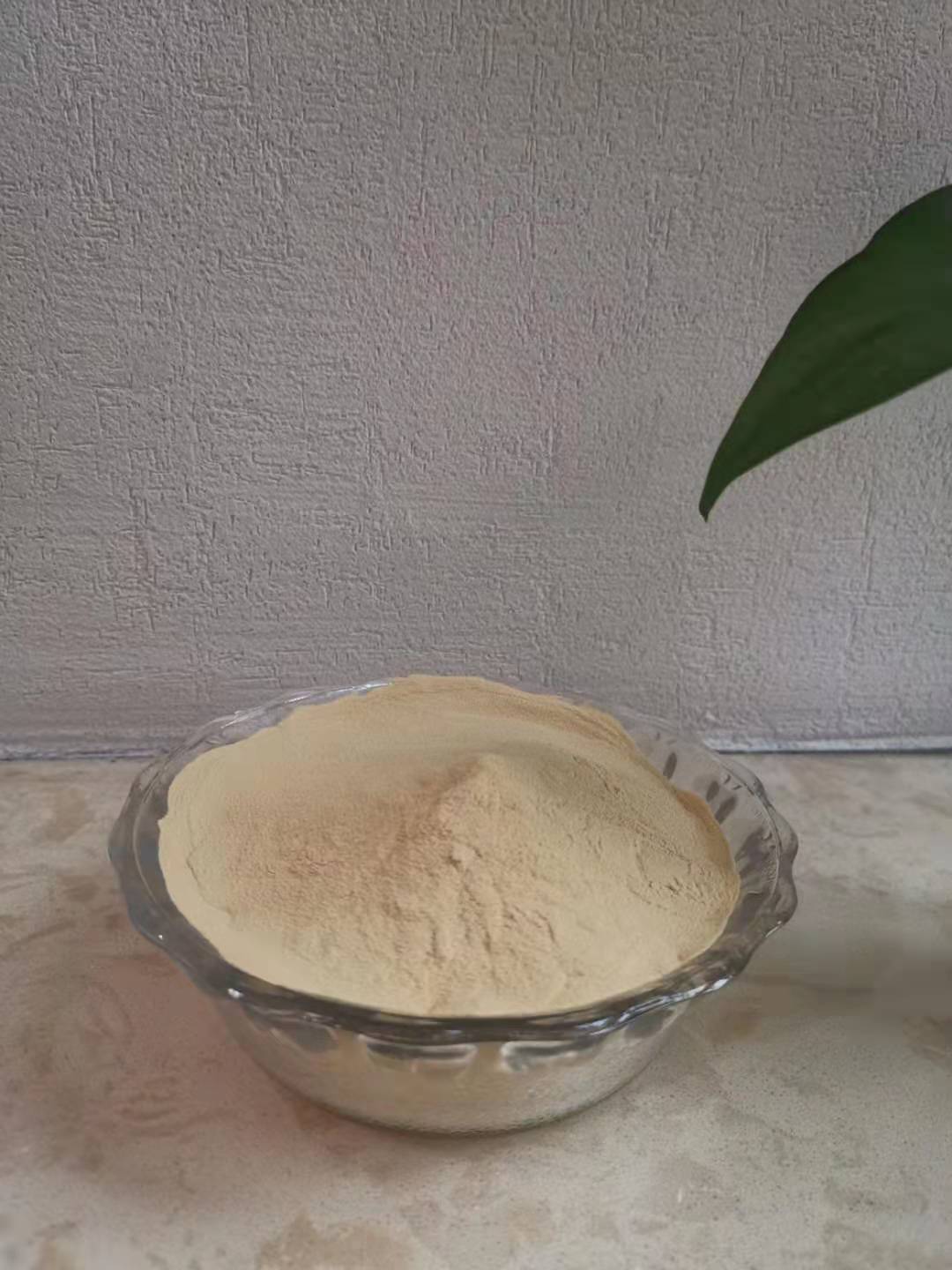 酵母提取物 酵母粉 氨基酸粉 生物營(yíng)養(yǎng)劑 酵母蛋白水解物