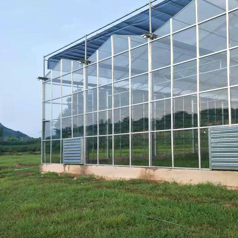 玻璃溫室大棚廠建設廠家
