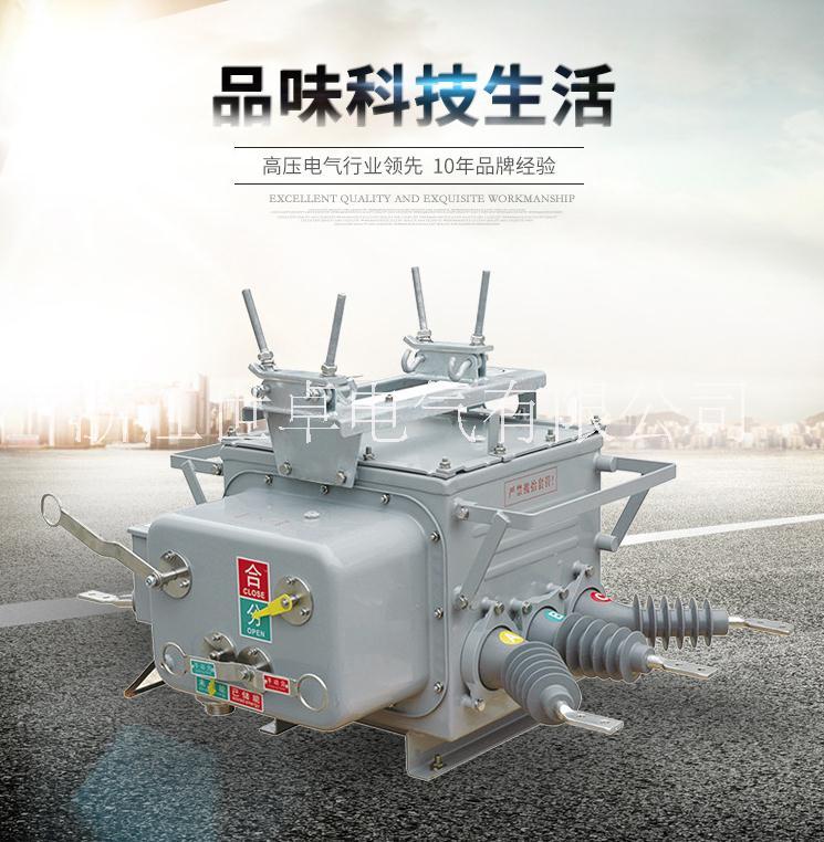 ZW20柱上分界開關(guān) 柱上看門狗 10Kv斷路器 浙江世卓電氣