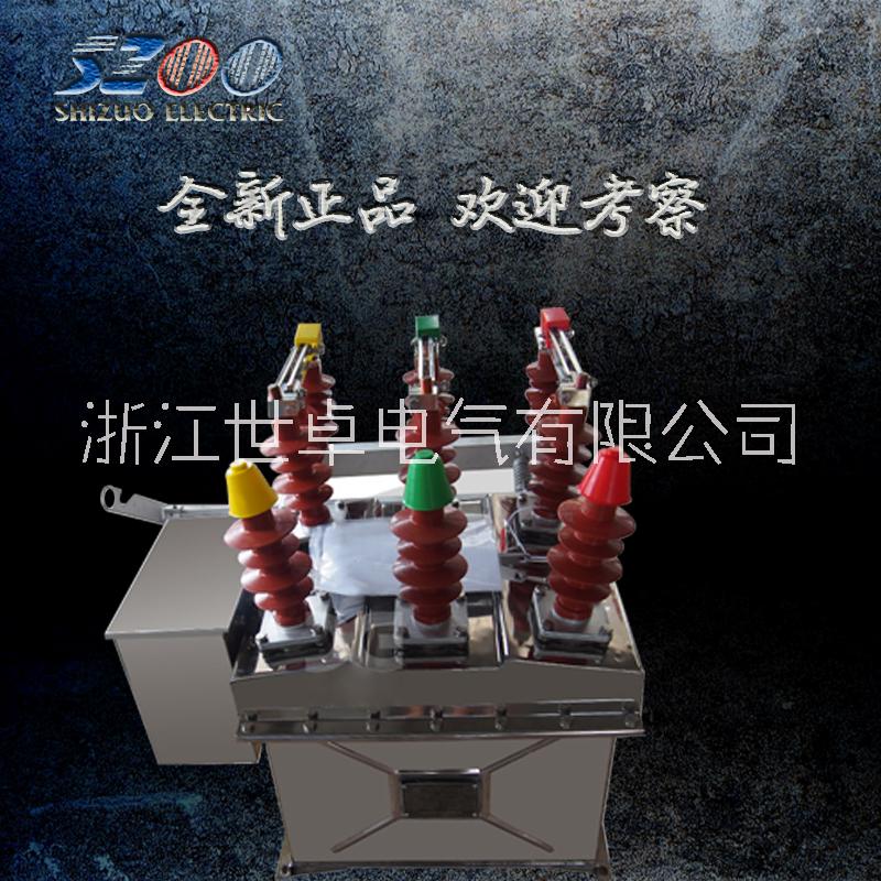 ZW8-12戶外高壓真空斷路器 柱上分界開關 看門狗 廠家直銷