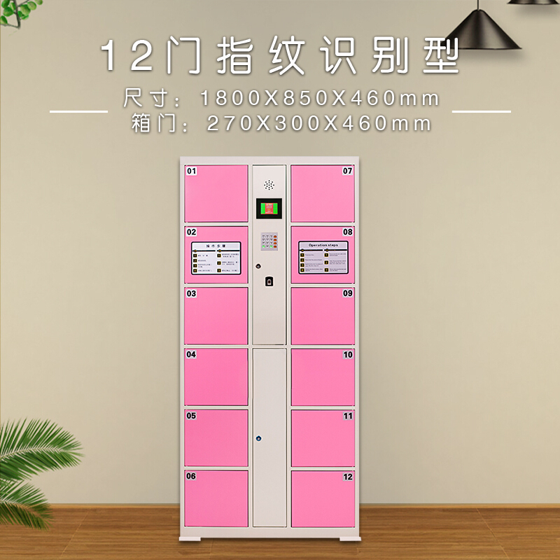 四川成都/智能存包柜/電子存包柜