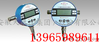 LC11橢圓齒輪流量計(jì)