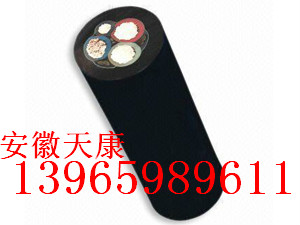 船用電纜CEFR,CEF80DA