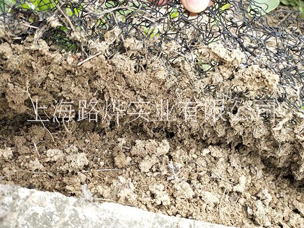 水土保護毯 三維水土保護毯廠家-廈門水土保護毯價格