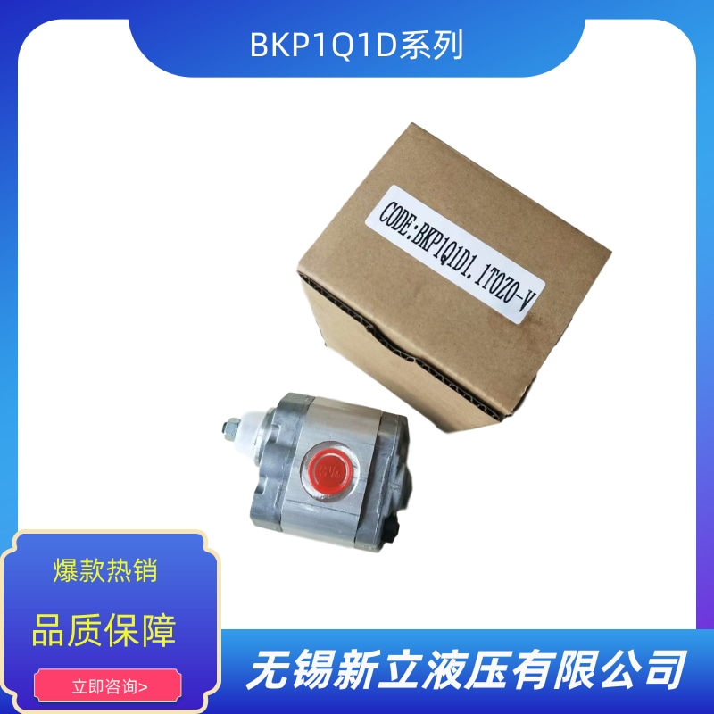 無錫油泵BKP1Q1D0.8T0Z0-V價(jià)格 批發(fā) 供貨商 生產(chǎn)廠家【無錫新立液壓有限公司】