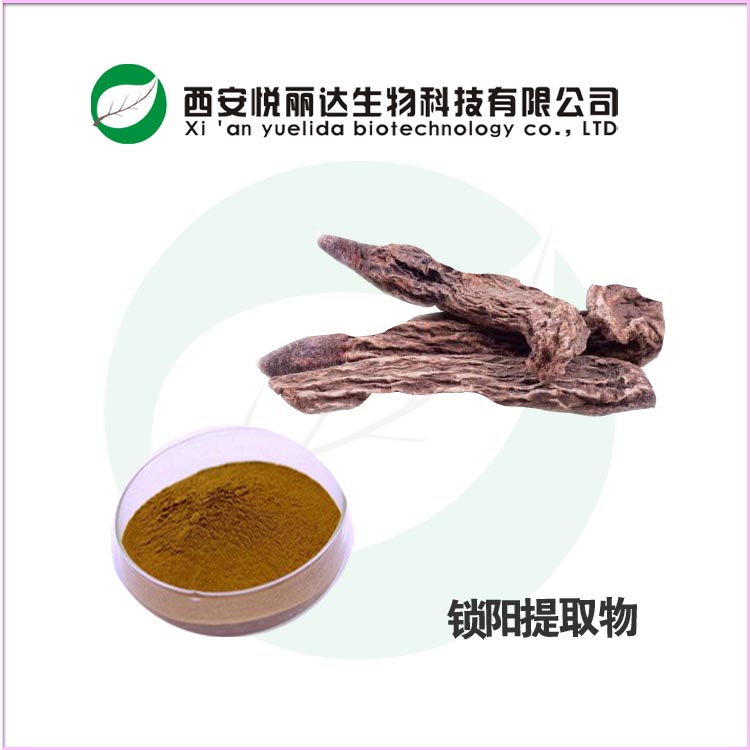 鎖陽提取物 生物堿 提濃縮干燥粉 鎖陽提取物生物堿 提濃縮干燥粉