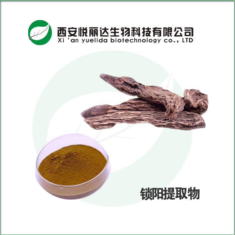 鎖陽提取物 生物堿 提濃縮干燥粉 鎖陽提取物生物堿 提濃縮干燥粉
