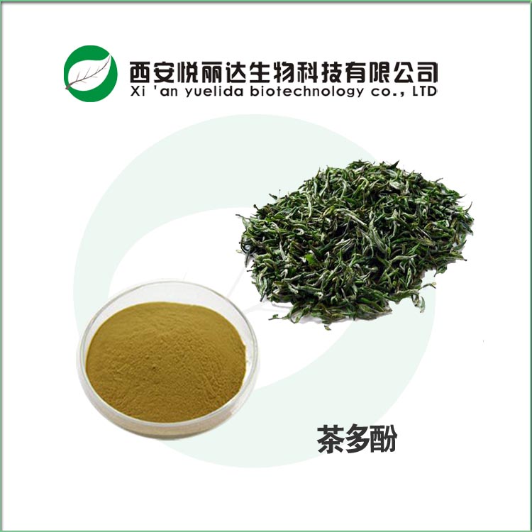 綠茶提取物 茶葉濃縮浸膏粉速溶粉 生產(chǎn)廠家