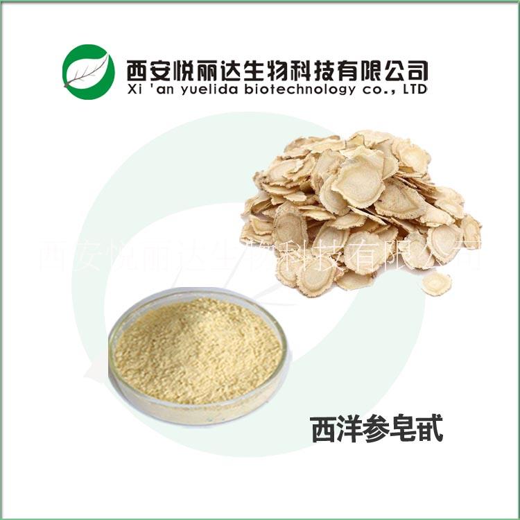 西洋參提取物 西洋參皂甙 西洋參提取物西洋參皂甙