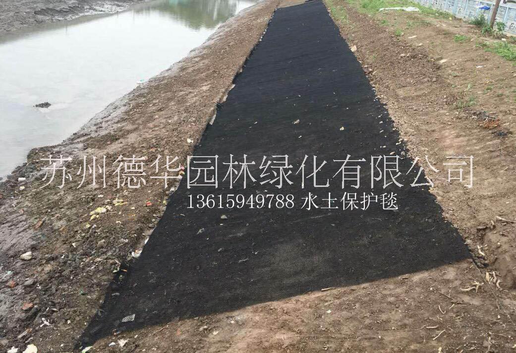 邊坡養(yǎng)護(hù)水土保護(hù)毯廠家-價(jià)格-供應(yīng)商