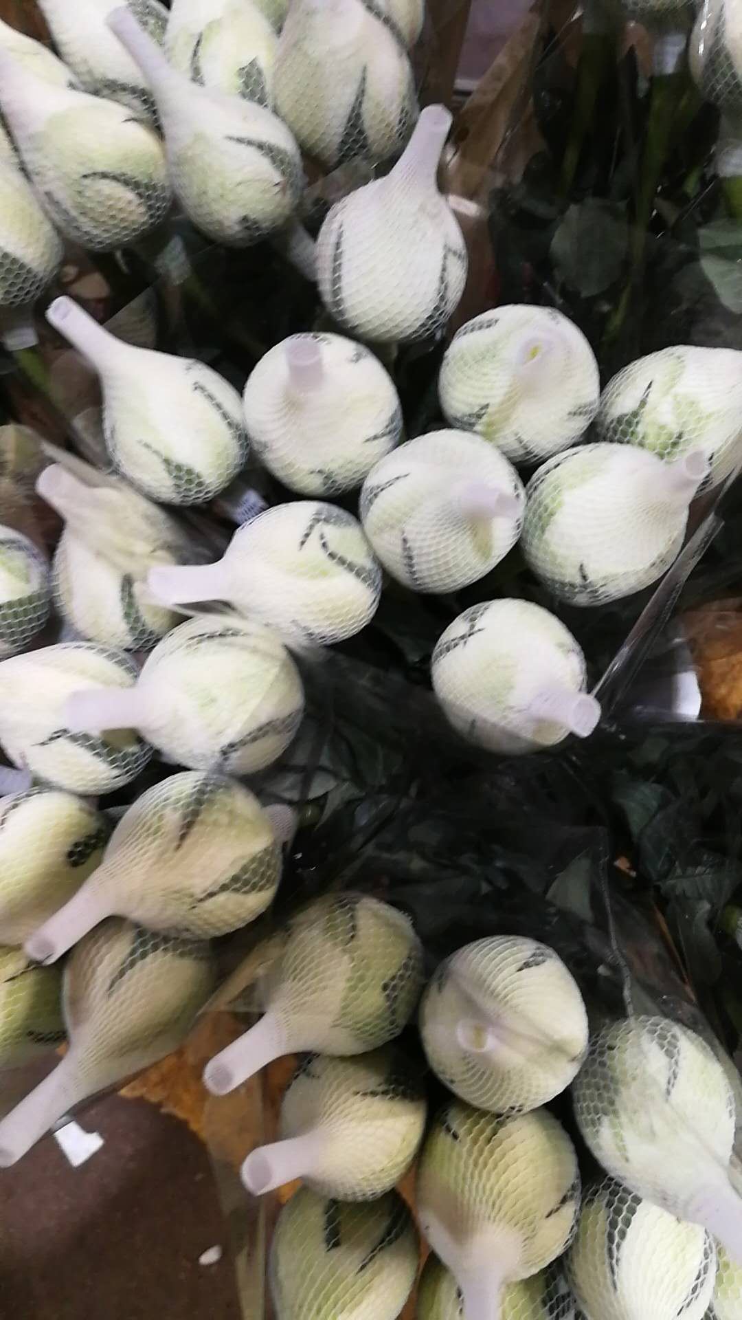 俏玲瓏玫瑰花哪家便宜 俏玲瓏玫瑰花報(bào)價(jià) 云南俏玲瓏玫瑰花