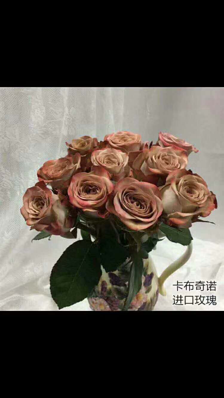 卡布奇諾玫瑰花報(bào)價(jià)  卡布奇諾玫瑰花供應(yīng)商 云南卡布奇諾玫瑰花