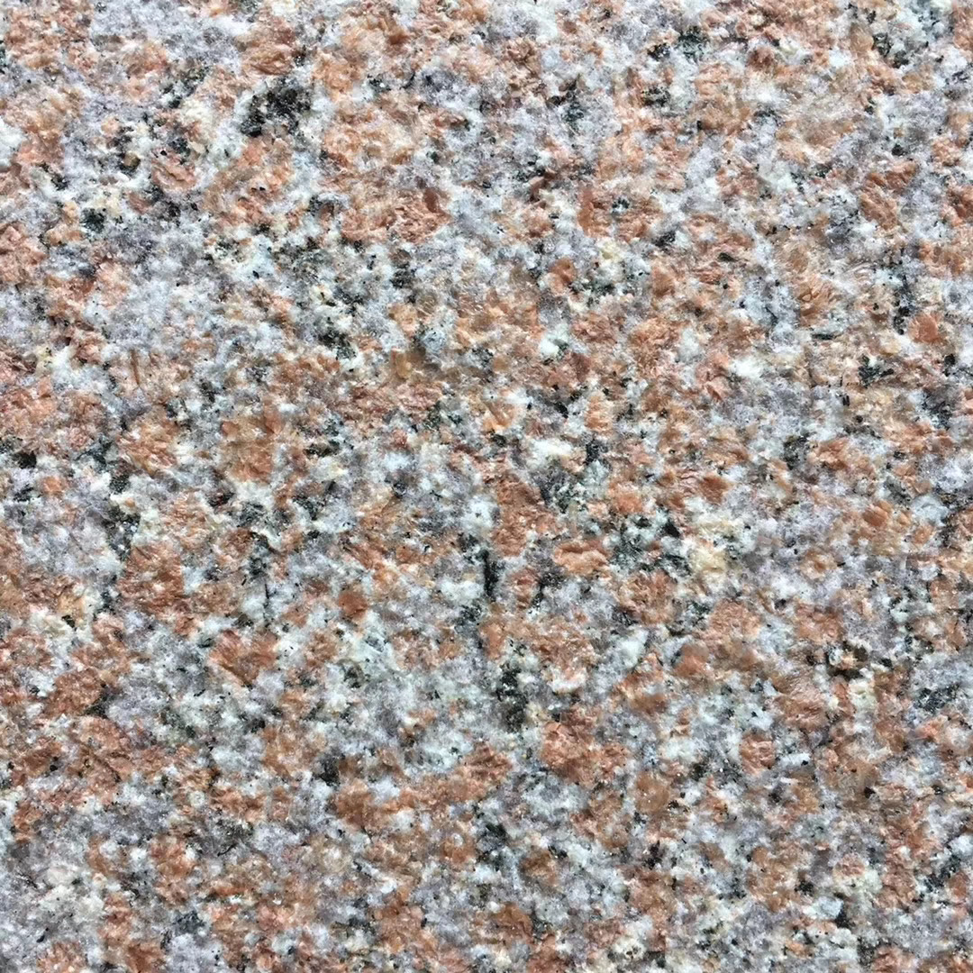 五蓮紅荔枝面報(bào)價(jià)