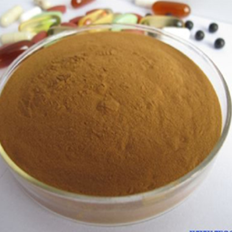 菊花提取物 杭白菊提取物 陜西中鑫生物