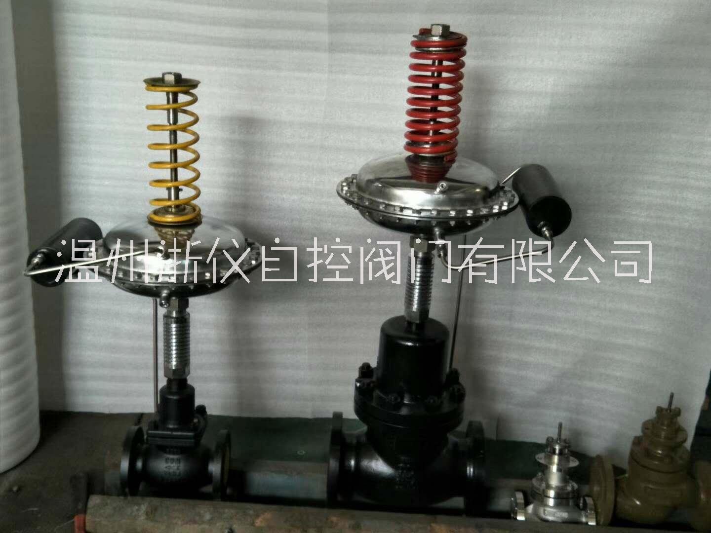 浙江自力式壓力調(diào)節(jié)閥供應(yīng)商、廠家直銷(xiāo)、批發(fā)價(jià)格【溫州浙儀自控閥門(mén)有限公司】