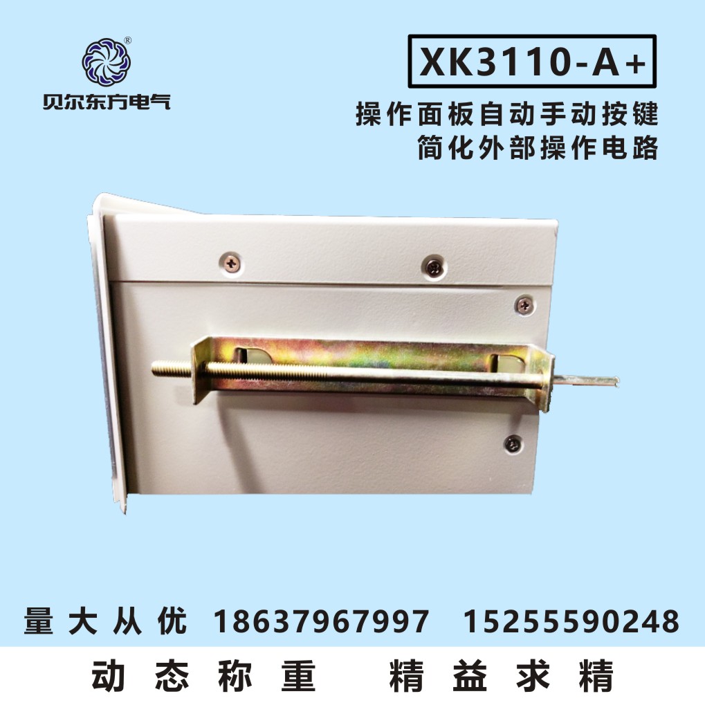 貝爾東方XK3110-A+電子稱重儀表