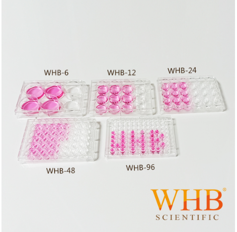 WHB-96-PD1  透明96孔培養(yǎng)板袋裝  酶標(biāo)板、微生物培養(yǎng)板 100個/箱